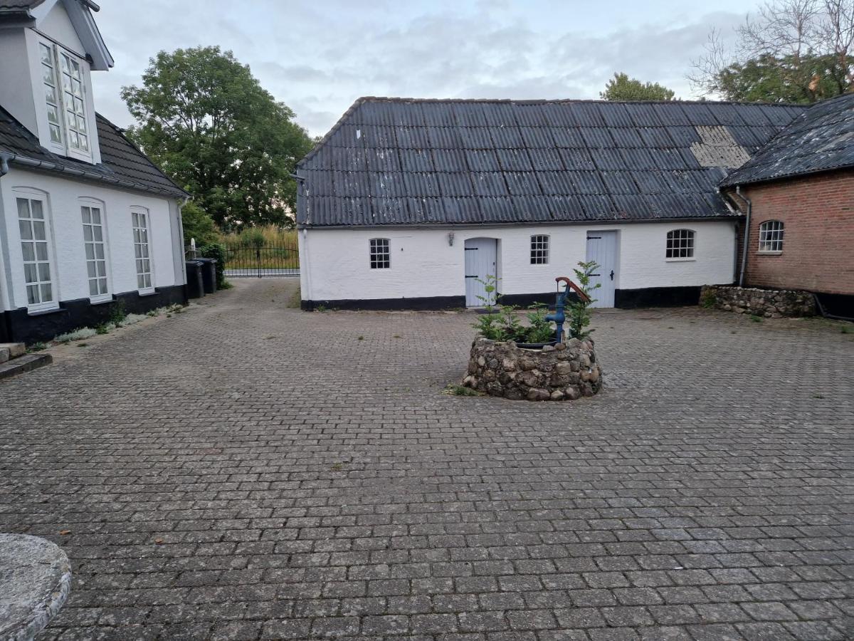 Trandafir Guesthouse Egtved Esterno foto
