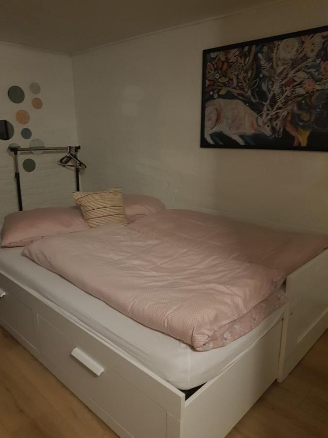 Trandafir Guesthouse Egtved Esterno foto