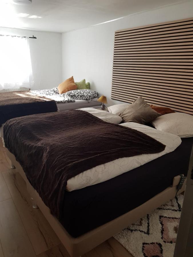 Trandafir Guesthouse Egtved Esterno foto