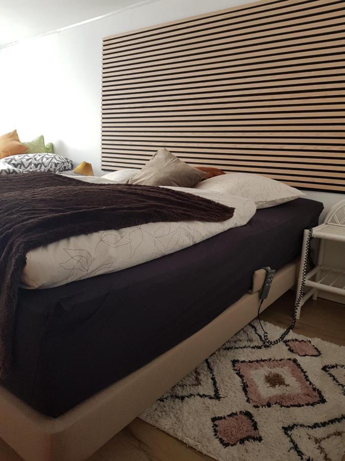 Trandafir Guesthouse Egtved Esterno foto