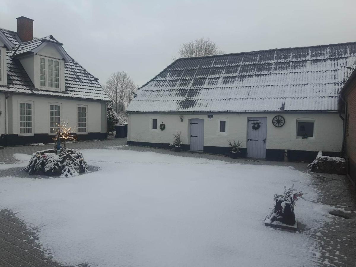 Trandafir Guesthouse Egtved Esterno foto