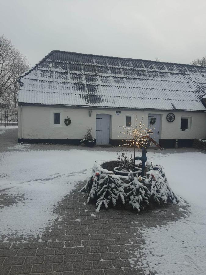 Trandafir Guesthouse Egtved Esterno foto